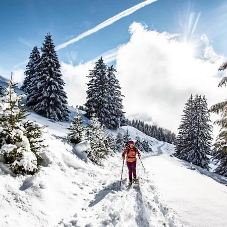 Alpenlake Ap139 View & Nature 6 Pers Chatel